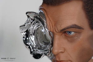 Terminator 2 T-1000 Art Mask (Standard)